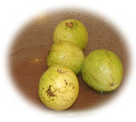 Guava egészben