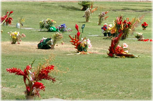Virágos temető