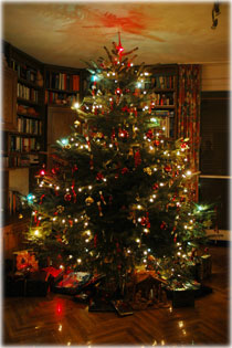 Christmas tree 2004