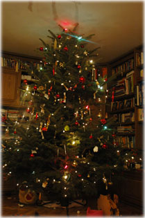 Karácsonyfa 2005